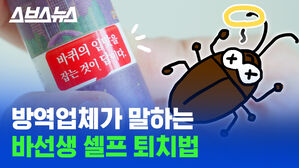 [스브스뉴스] 바퀴벌레 퇴치에 주방세제? 각종 민간요법 검증해봄