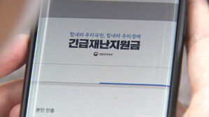 긴급재난지원금