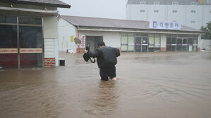 [태풍 현장] "하나라도 건져야"…'찬투'에 물바다 된 제주