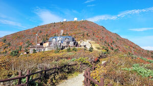 설악산 단풍