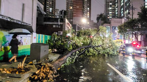 [현장 포토] 서울 반짝 폭우…나무 쓰러지고 구조물 '와르르'