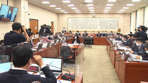 "대장동" vs "고발 사주" 여야 전장된 법무부 국감