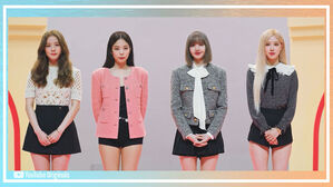 굿모닝연예 02. 블랙핑크
