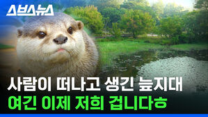 인간이 떠나고 30년 뒤 생긴 늪지대가 지구에 가져올 놀라운 변화
