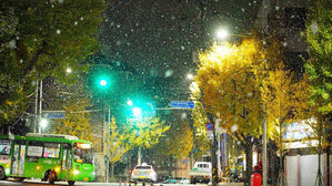 [포토] 서울에 찾아온 깜짝 첫눈…"겨울 시작인가요?"
