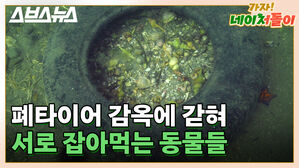 인간이 버린 폐타이어에서 일어난 끔찍한 비극