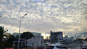 [실시간 e뉴스] 지진 발생 20분 전 제주 하늘서 포착된 '이것'…전조 현상?