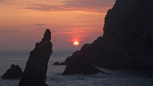 새해 첫해 독도서 오전 7시 26분에 가장 먼저 뜬다