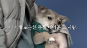 더불어민주당 이재명 대선 후보 유튜브 캡처