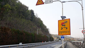 도로 결빙취약구간 안내 (사진=연합뉴스)