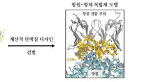 계산적 단백질 디자인 기법을 이용한 항원 특정 부위를 인식하는 항체 발굴 개념도 (사진=KAIST 제공, 연합뉴스)