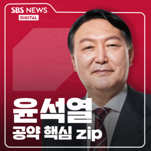 당신이 혹 하는 대선공약 모음 - 윤석열 후보 편