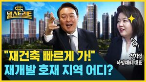 뭘스트리트 '재건축 빠르게 가!" 정지영 아임해피 대표 재개발 호재 지역 어디?