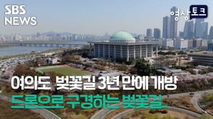 SBS 영상토크 NEWS 여의도 벚꽃길 3년 만에 개방 드론으로 구경하는 벚꽃길