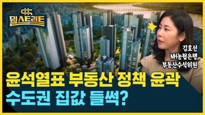 뭘스트리트 김효선 NH농협은행 부동산수석위원 윤석열표 부동산 정책 윤곽 수도권 집값 들썩?