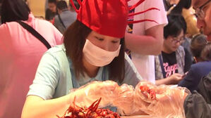 [더스페셜리스트] "가재도 까드려요" 게으름이 돈 되는 세상