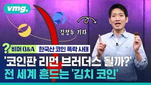비머 Q&A 한국산 코인 폭락 사태 '코인판 리먼 브러더스 될까?' 전 세계 흔드는 '김치 코인'