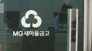 갑질 벌금형 받으면 새마을금고 임원 못 된다