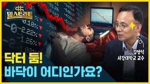 뭘스트리트 김영익 서강대학교 교수 닥터 둠! 바닥이 어디인가요?