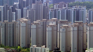 1주택자 저가 상속 · 지방 주택 더 가져도 종부세상 1주택자