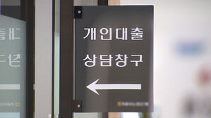 내달부터 3단계 DSR 규제 시행
