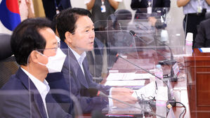 발언하는 성일종 정책위의장