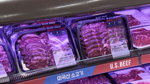 정치권 물가 잡기 각종 대책