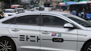 차량 호출 서비스 '타다'