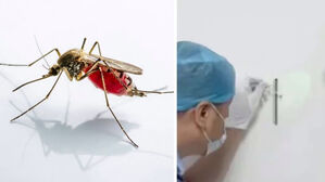 [월드리포트] 죽은 모기의 복수?&hellip;모기 때문에 잡힌 중국 도둑