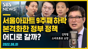[골룸] 뭘스트리트 : 서울아파트 9주째 하락...본격화한 정부 정책 어디로 갈까? (feat. 김학렬)