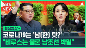 현장영상 코로나19는 '남(한) 탓?' "비루스는 물론 남조선 박멸"