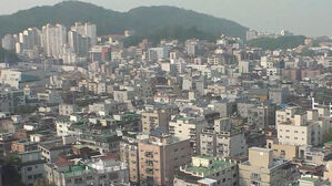 전세 사기