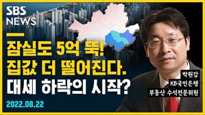 [골룸] 뭘스트리트 : 잠실도 5억 뚝! 집값 더 떨어진다. 대세 하락의 시작? (feat. 박원갑)