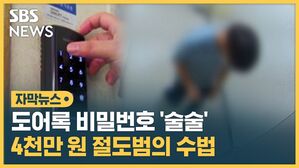 형광펜 도둑