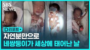 네쌍둥이