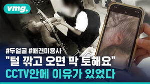 "털 깎고 오면 막 토해요" CCTV안에 이유가 있었다