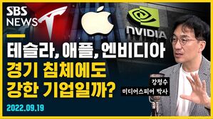 [골룸] 뭘스트리트 : 테슬라&middot;애플&middot;엔비디아, 경기침체에도 강한 기업일까? (feat. 강정수)