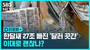 한달새 27조 빠진 달러 곳간 이대로 괜찮나?