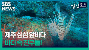 수중촬영 영상토크