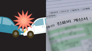 고의로 교통사고 낸 뒤 보험금 타간 보험 사기극
