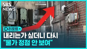 내리는가 싶더니 다시 "물가 정점 안 보여"