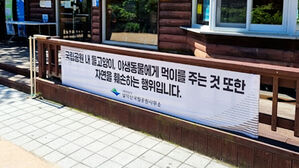 뉴스딱 3. '고양이 현수막'에 민원 폭주