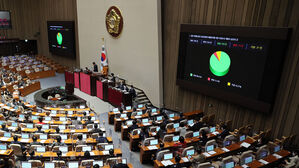 '이태원 참사 특위' 국정조사 계획서 본회의 의결