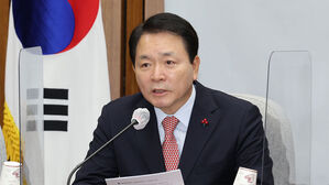 발언하는 성일종 정책위원장