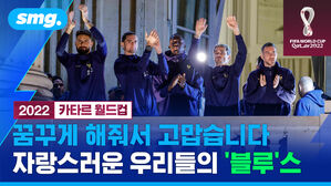 2022 카타르 월드컵 꿈꾸게 해줘서 고맙습니다 자랑스러운 우리들의 블루스
