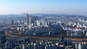 도심