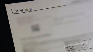 실손보험