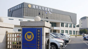 "약품으로 덜 익은 감귤 노랗게"&hellip;자치경찰, 제주 선과장 적발