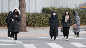 한파, 추위, 겨울, 패딩