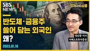[골룸] 경제자유살롱 : 반도체 &middot; 금융주 쓸어담는 외국인, 왜? (feat. 염승환)